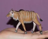antylopa-eland-ciele-plec-chlopcy-dziewczynki