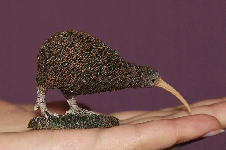 kiwi-plec-chlopcy-dziewczynki