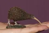 kiwi-plec-chlopcy-dziewczynki