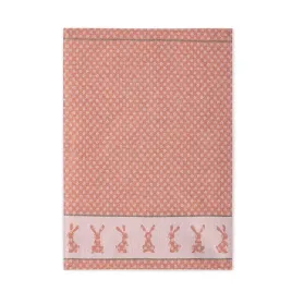 scierka-kuchenna-szarak-50x70-8525-10-ruda