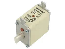 bezpiecznik-topikowy-125a-500vac-250vdc-gg-nh00-x1szt