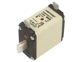 bezpiecznik-topikowy-125a-690vac-250vdc-gg-nh00-x1szt