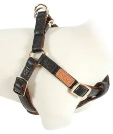 szelki-obroza-dla-psa-zolux-imao-mayfair-45-65-s