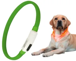 obroza-led-swiecaca-dla-psa-kota-usb-2-tryby