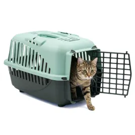 transporter-zielony-solidny-box-kojec-klatka-torba-dla-kota-krolika-psa