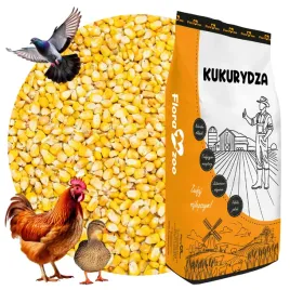 kukurydza-cale-ziarno-pasza-karma-dla-drobiu-kur-kaczek-gesi-ptakow-golebi