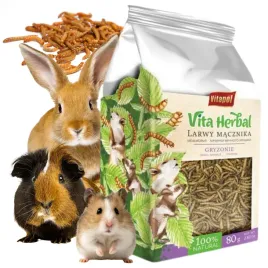 larwy-macznika-karma-pokarm-robaki-dla-chomika-swinki-morskiej-krolika-80g