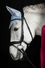 b-hkm-nauszniki-manchester-light-blue-full