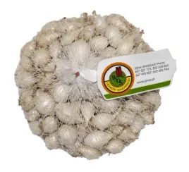 cebula-dymka-white-globe-biala-lagodna-521-mm-250-g