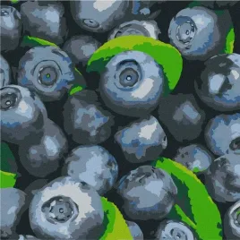 malowanie-po-numerach-soczysta-borowka-25x25
