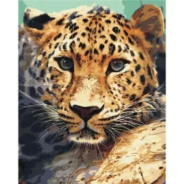 malowanie-po-numerach-brushme-40x50-cm-portret-lamparta