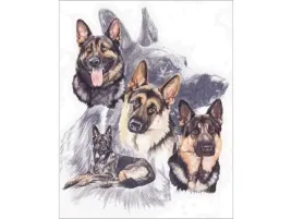 haft-diamentowy-obraz-mozaika-diamentowa-owczarki-niemieckie-30x40cm