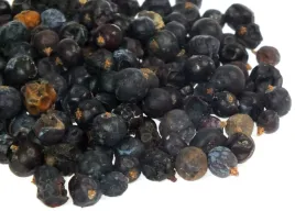 jalowiec-owoc-caly-50-g-od-skworcu