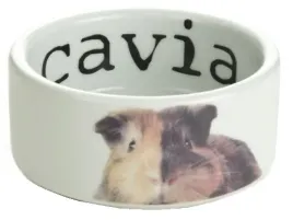 beeztees-miseczka-ceramiczna-snapshot-dla-swinki-morskiej