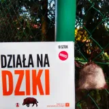 kunagone-na-dziki-10-pak-produkt-wprowadzony-do-obrotu-na-terenie-ue-przed-13-12-2024-tak