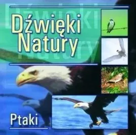 dzwieki-natury-ptaki-cd