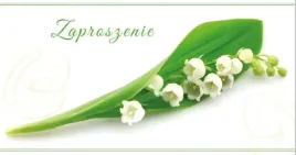 zaproszenia-flowers-nr-01-opakowanie-10-szt