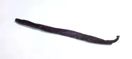 wanilia-laski-wanilii-12cm-1szt-skworcu-certyfikat