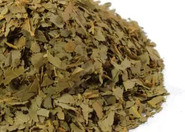 liscie-eukaliptusa-50g-suszone-od-skworcu