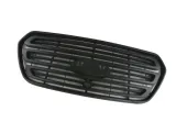 atrapa-ford-transit-v363