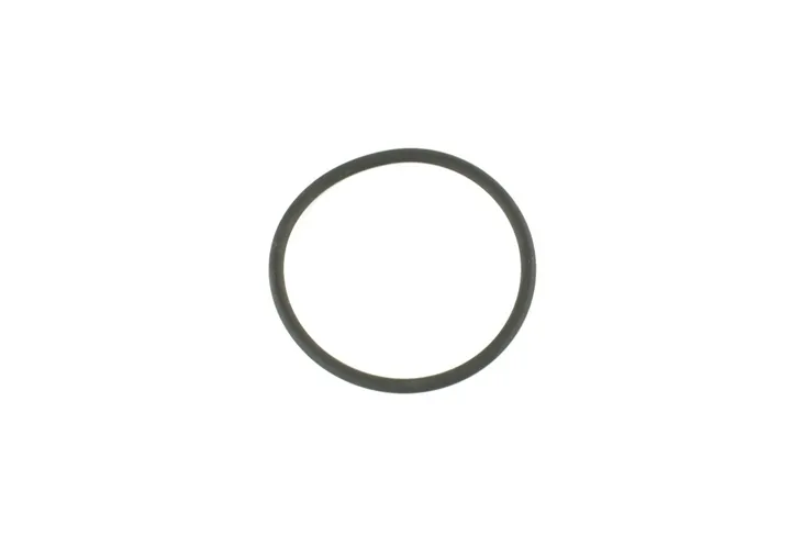 oring-pompa-wspomagania-iveco-daily-06-