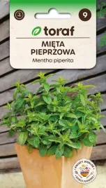 mieta-pieprzowa-nasiona-01-g