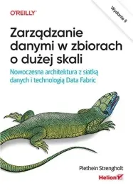 zarzadzanie-danymi-w-zbiorach-o-duzej-skali-nowoczesna-architektura-z-siat