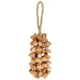 shaker-terre-seed-xxl-cha-cha-nut