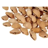 shaker-terre-seed-xxl-cha-cha-nut-stan-nowy