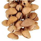 shaker-terre-seed-xxl-cha-cha-nut-marka-terre