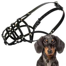 kaganiec-dla-psa-dingo-skorzany-nitowany-nr-2-obwod-kufy-23cm-jamnik