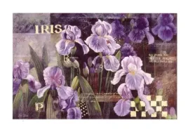 flower-competition-bai-xue-plakat-obraz-100x70cm