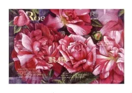 wealth-bai-xue-plakat-obraz-100x70cm