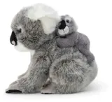 koala-z-dzieckiem