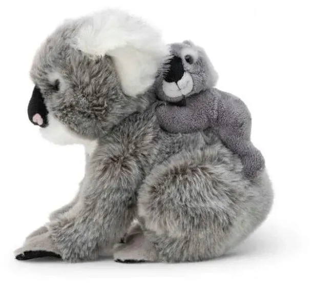 koala-z-dzieckiem