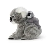 koala-z-dzieckiem-stan-nowy