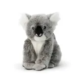 koala-z-dzieckiem-plec-chlopcy-dziewczynki