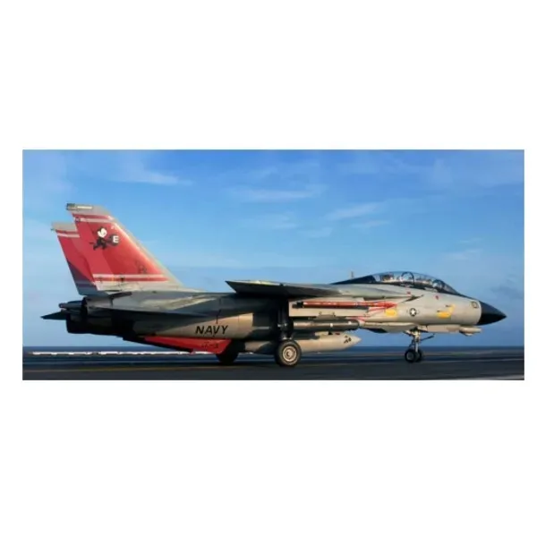 samolot-f-14d-super-tomcat-okres-po-ii-wojnie-swiatowej
