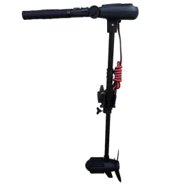 silnik-elektryczny-haswing-protruar-65-lb-600-w