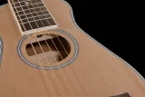 gitara-e-akustyczna-harley-benton-traveler-e-steel-marka-harley-benton