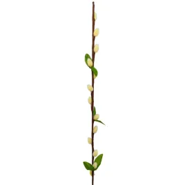 bazia-naturalna-kremowa-52-cm-hortens