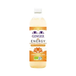 piwo-imbirowe-energy-bezalkoholowe-fair-for-life-bio-350-ml-karma