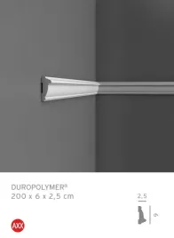 px113-profil-dekoracyjny-25-x-6-x-200-cm-orac-axxent