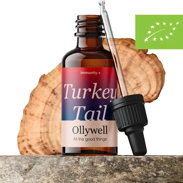BIO Turkey Tail Polski Wrośniak różnobarwny Ollywell Krople Ekstrakt
