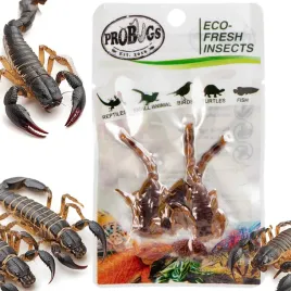 swieze-skorpiony-dla-warana-agamy-legwana-probugs-ecofresh-scorpion-3szt