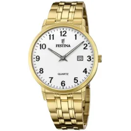 zegarek-meski-festina-f20513-1-zloty