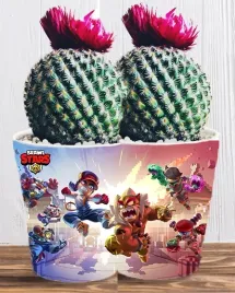 doniczka-do-kwiatow-brawl-stars-producent