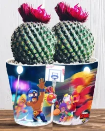 doniczka-do-kwiatow-brawl-stars-producent