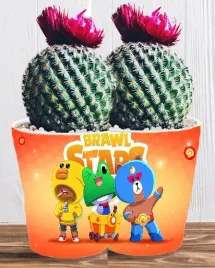 doniczka-do-kwiatow-brawl-stars-producent