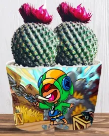 doniczka-do-kwiatow-brawl-stars-producent